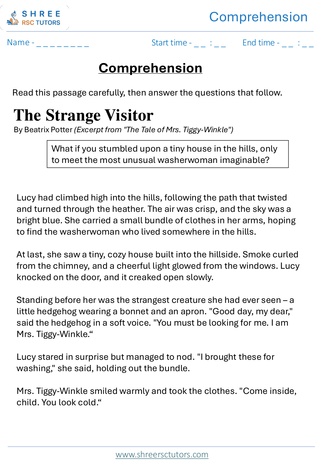 Comprehension  11+ English #4