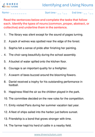 Identifying And Using Nouns  11+ English8