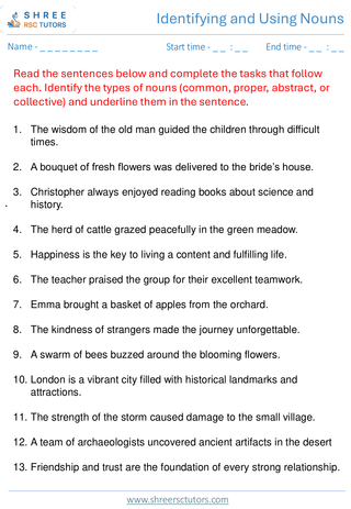 Identifying And Using Nouns  11+ English7