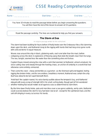 Csse Reading Comprehension Csse8