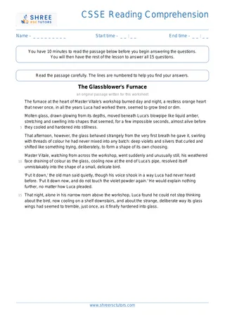 Csse Reading Comprehension Csse14