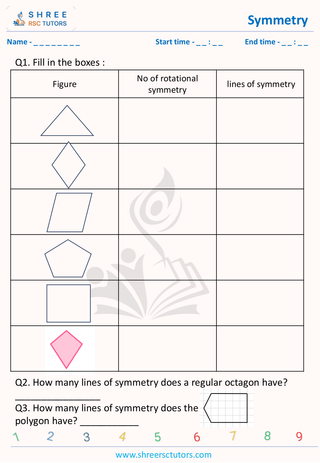 Symmetry 11 Plus Math (8)