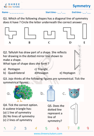 Symmetry 11 Plus Math (4)