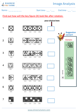 Image Analysis (Level 2)  11+ Non Verbal5