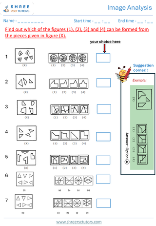 Image Analysis (Level 2)  11+ Non Verbal2