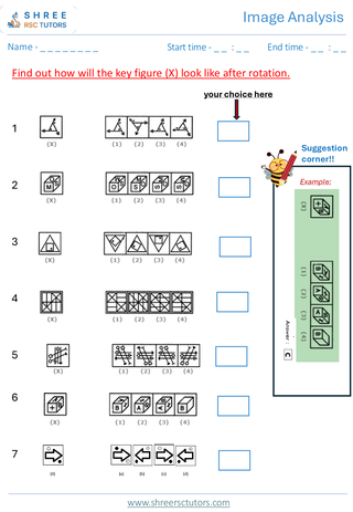 Image Analysis (Level 2)  11+ Non Verbal6