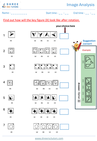 Image Analysis (Level 2)  11+ Non Verbal8