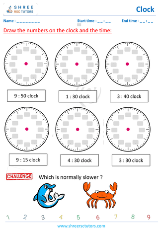 Draw The Clock (7)