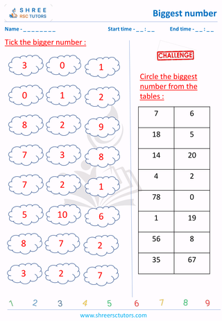 Biggest Number Among 3 1 1 (5)