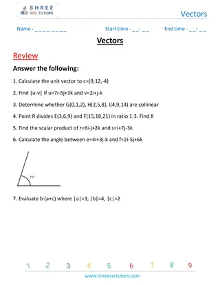 Vectors Review 3