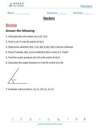 Vectors Review 1