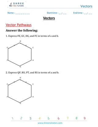 Vectors Vector Pathways 1
