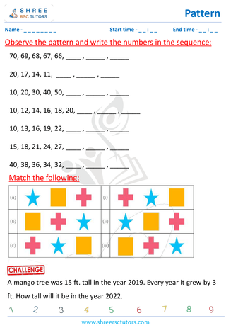 Identify Next Pattern (3)