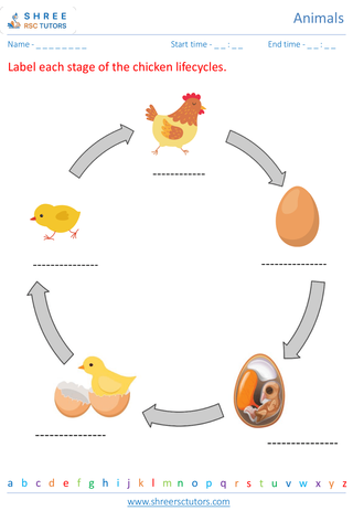 Animal Life Cycle 3