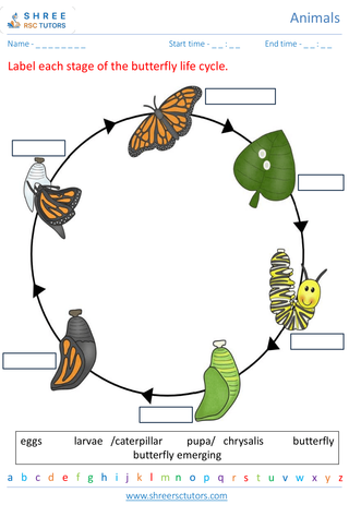 Animal Life Cycle 5