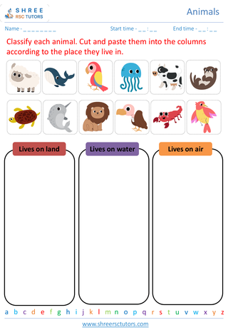 Classification Of Animals 3
