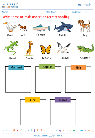 Classification Of Animals 5