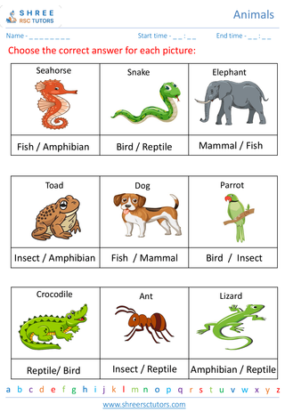 Classification Of Animals 6