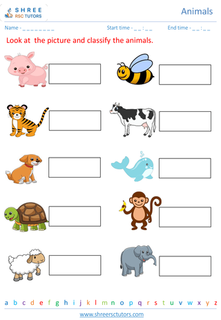Classification Of Animals 2