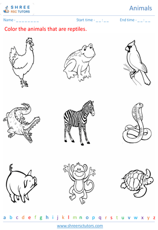 Classification Of Animals 4