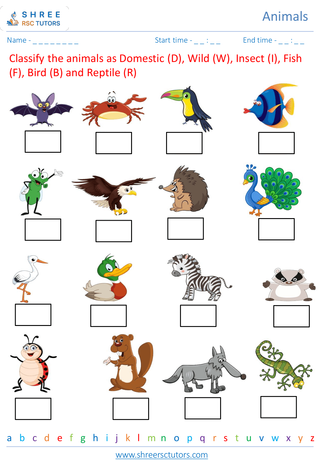Classification Of Animals 1