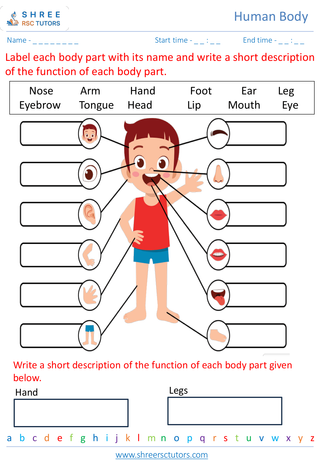 Body Parts And Their Functions 2