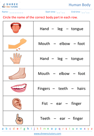 Body Parts And Their Functions 4