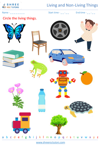 Distinguishing Between Living And Non Living Things 5