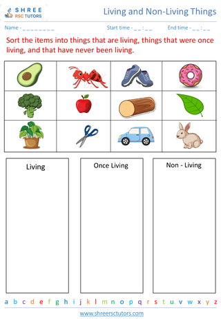 Identifying Characteristics Of Living Things 4