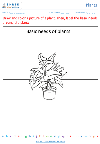 Basic Plant Needs 4