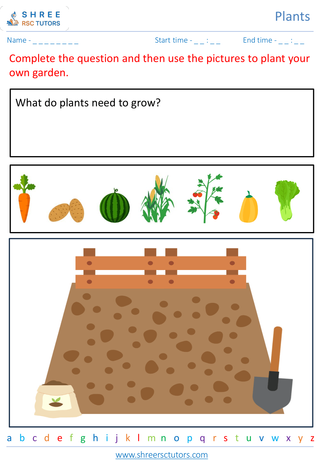 Basic Plant Needs 6