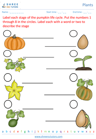 Plant Life Cycle 3