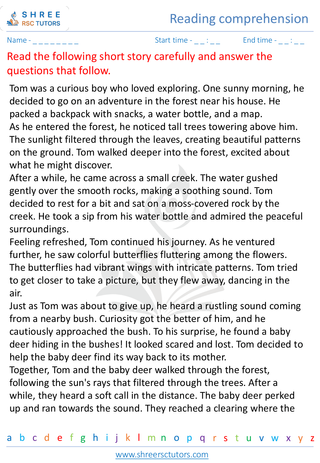 Reading Comprehension 9