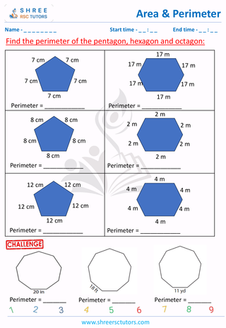 Find The Perimeter Of The Pentagon, Hexagon And Octagon (4)