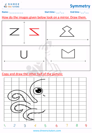 Complete The Mirror Image Standard (5)
