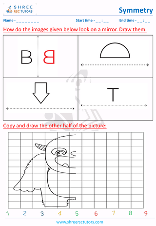 Complete The Mirror Image Standard (3)