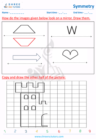 Complete The Mirror Image Standard (1)