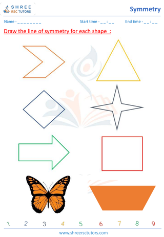 Drawing A Line Of Symmetry Shapes (2)