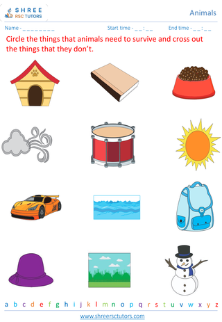 Basic Animal Needs And Habitats 1