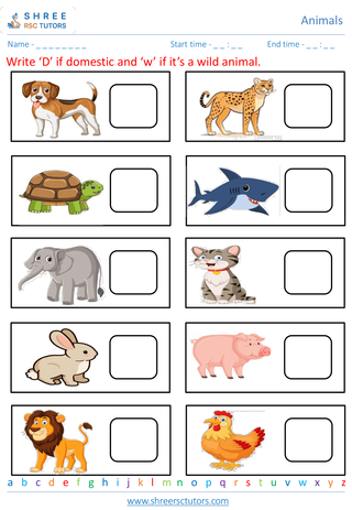 Classifying Animals 4