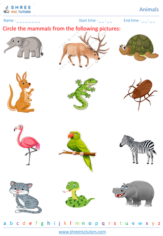 Classifying Animals 6