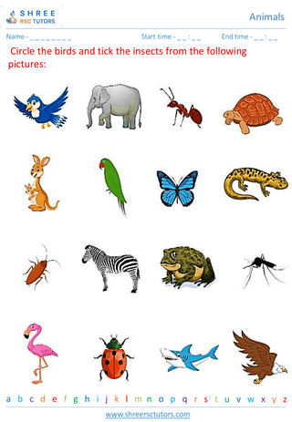 Classifying Animals 2