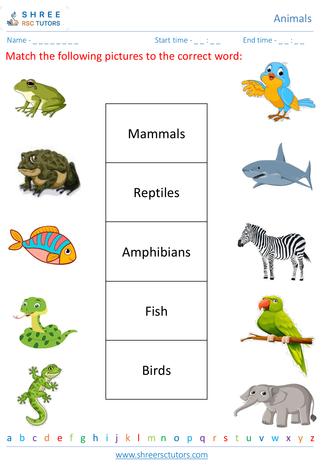 Classifying Animals 5