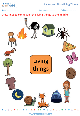 Differentiating Between Living And Non Living Thing 6