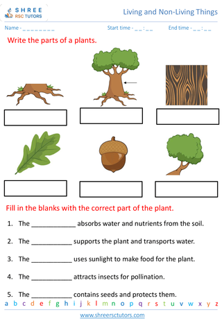 Parts Of A Plant And Their Functions 3