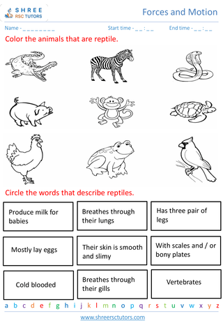 Classifying Plants And Animals 6