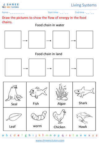 Exploring Ecosystems And Food Chains 1