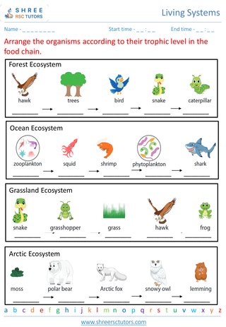 Exploring Ecosystems And Food Chains 3