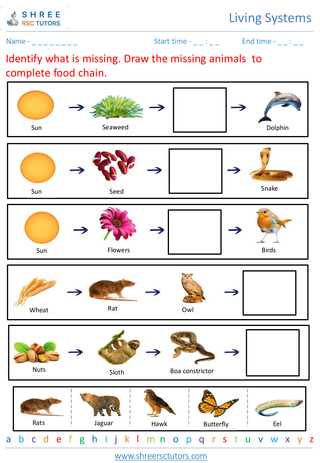 Exploring Ecosystems And Food Chains 2