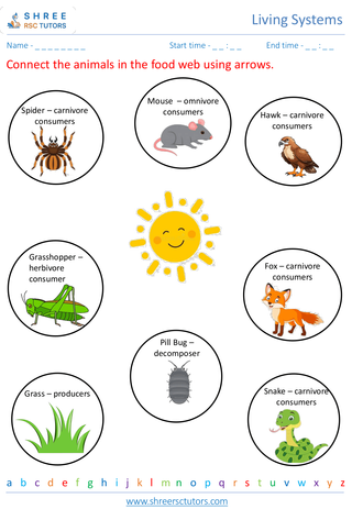 Exploring Ecosystems And Food Chains 6